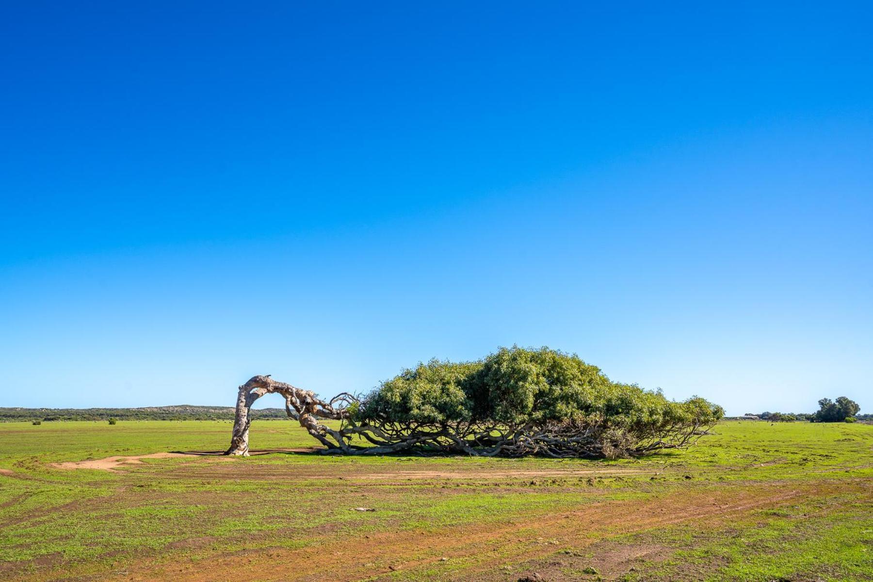 Hospitality Geraldton Surestay Collection By Best Western Buitenkant foto